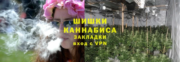 МДПВ Алзамай