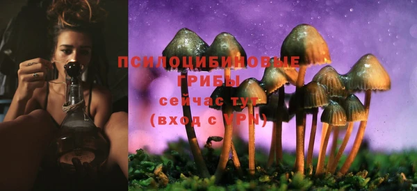 МДПВ Алзамай