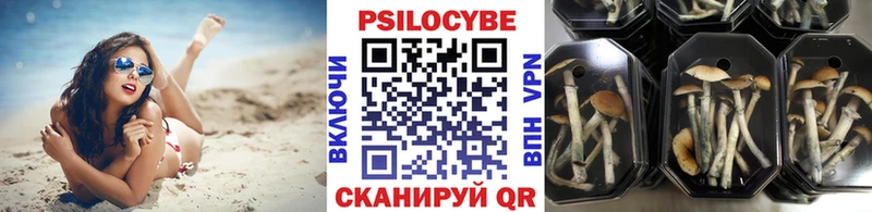 купить наркотик  Шелехов  Галлюциногенные грибы прущие грибы 